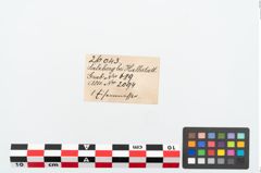 Etikett zu Eisengriffangelmesser (NHMW-PRAE-026043)